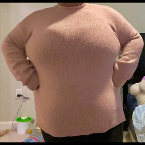 May include: A soft, pink, long-sleeved sweater with a mock neck.