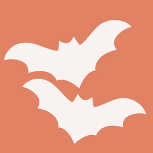 Può includere: Due pipistrelli bianchi che volano su uno sfondo arancione solido.
