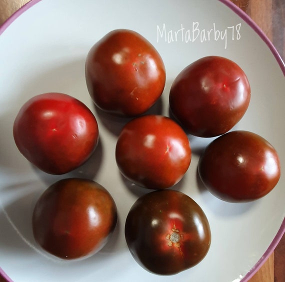 Kumato tomato seed no GMO Seeds Gift Etsy