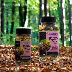 TropicZone Box Turtle Natural Fruit and  Berry Treat