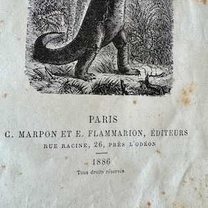 Antique French Book by Flammarion THE World Before the Creation of Man, First Edition, 1886. Leather Hardcover.