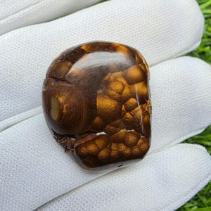 May include: A polished fire agate gemstone featuring a smooth, rounded surface with deep brown and metallic bronze hues. The stone displays a distinct botryoidal structure with layered, bubble-like formations that create a shimmering, iridescent effect.