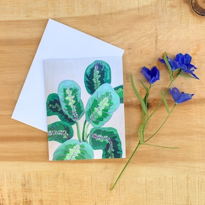 Carte de voeux botanique, plante à feuilles de prière avec enveloppe blanche