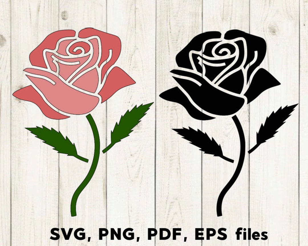 Red Rose Svg, Flowers Svg, Hand Drawing, Graphic by 99SiamVector