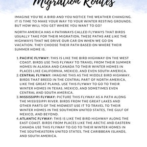 K&ouml;nnte beinhalten: Ein wei&szlig;es Papier mit dem Titel "Migration Routes" in Schreibschrift. Der Text beschreibt vier Zugrouten, die von V&ouml;geln in Nordamerika genutzt werden, darunter die Pazifik-, Zentral-, Mississippi- und Atlantikroute.