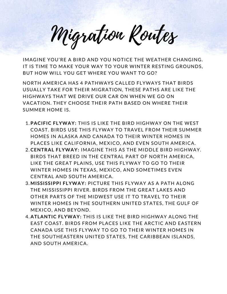 K&ouml;nnte beinhalten: Ein wei&szlig;es Papier mit dem Titel "Migration Routes" in Schreibschrift. Der Text beschreibt vier Zugrouten, die von V&ouml;geln in Nordamerika genutzt werden, darunter die Pazifik-, Zentral-, Mississippi- und Atlantikroute.