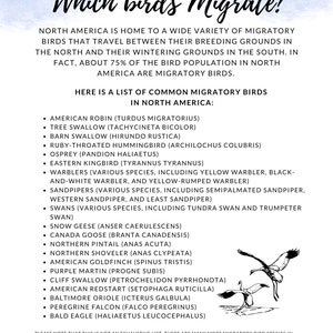 K&ouml;nnte beinhalten: Ein wei&szlig;es Poster mit dem Titel "Which birds Migrate?" in Schreibschrift. Es listet h&auml;ufige Zugv&ouml;gel in Nordamerika auf, wie das Amerikanische Rotkehlchen und den Wei&szlig;kopfseeadler, mit einer Zeichnung von V&ouml;geln im Flug.