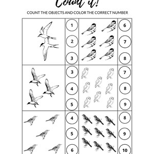 K&ouml;nnte beinhalten: Schwarz-wei&szlig;es Arbeitsblatt mit dem Titel "Count it!" mit Illustrationen von V&ouml;geln und Eulen. Das Arbeitsblatt fordert den Benutzer auf, die Objekte zu z&auml;hlen und die richtige Zahl auszumalen. Die Zahlen 1-10 werden in Kreisen angezeigt.