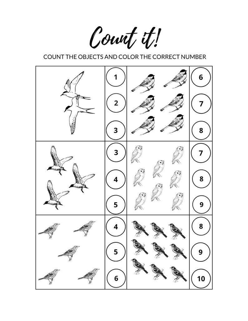 K&ouml;nnte beinhalten: Schwarz-wei&szlig;es Arbeitsblatt mit dem Titel "Count it!" mit Illustrationen von V&ouml;geln und Eulen. Das Arbeitsblatt fordert den Benutzer auf, die Objekte zu z&auml;hlen und die richtige Zahl auszumalen. Die Zahlen 1-10 werden in Kreisen angezeigt.