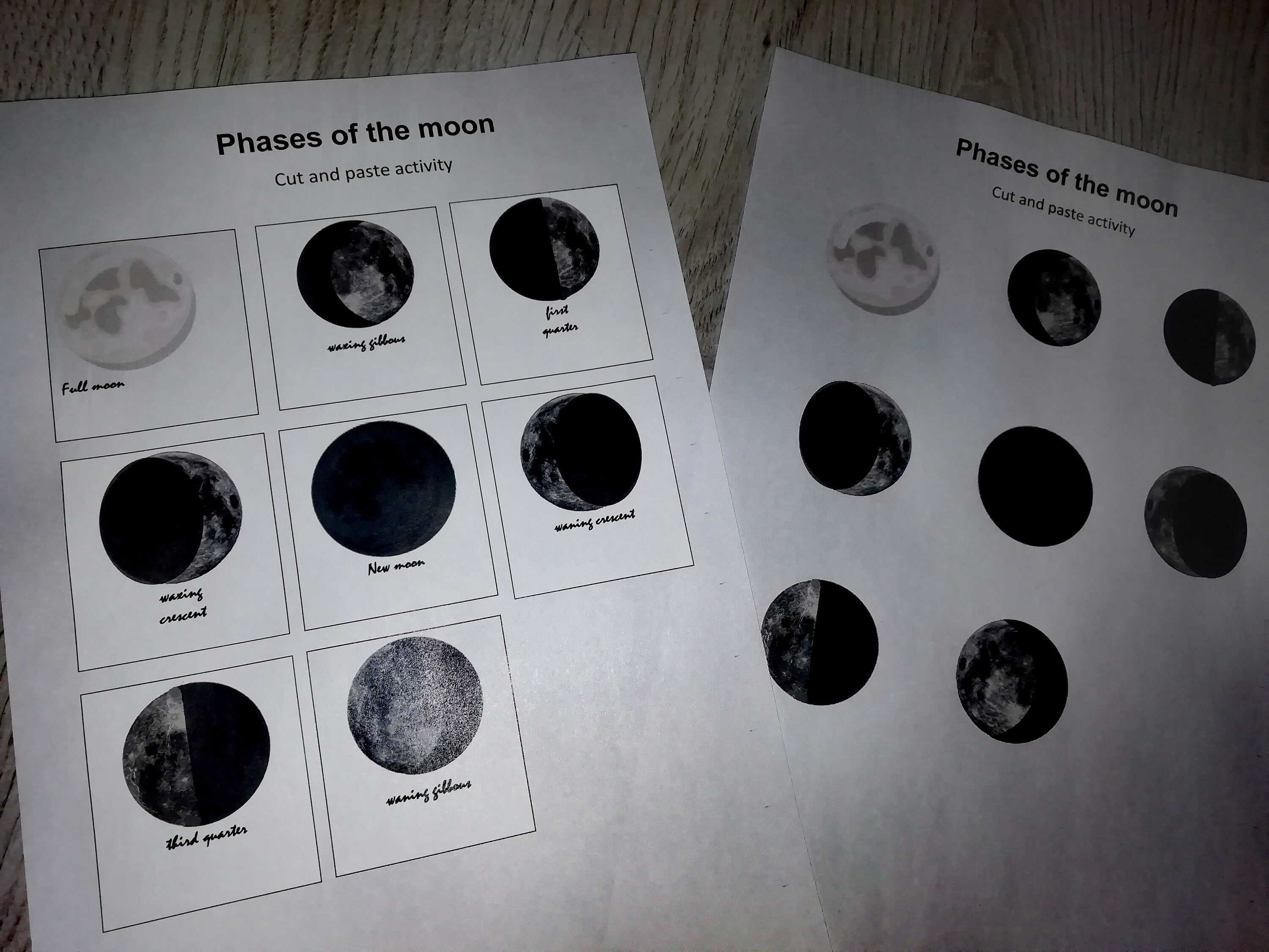 Moon Phases Study didactic manual educational activities for | Etsy