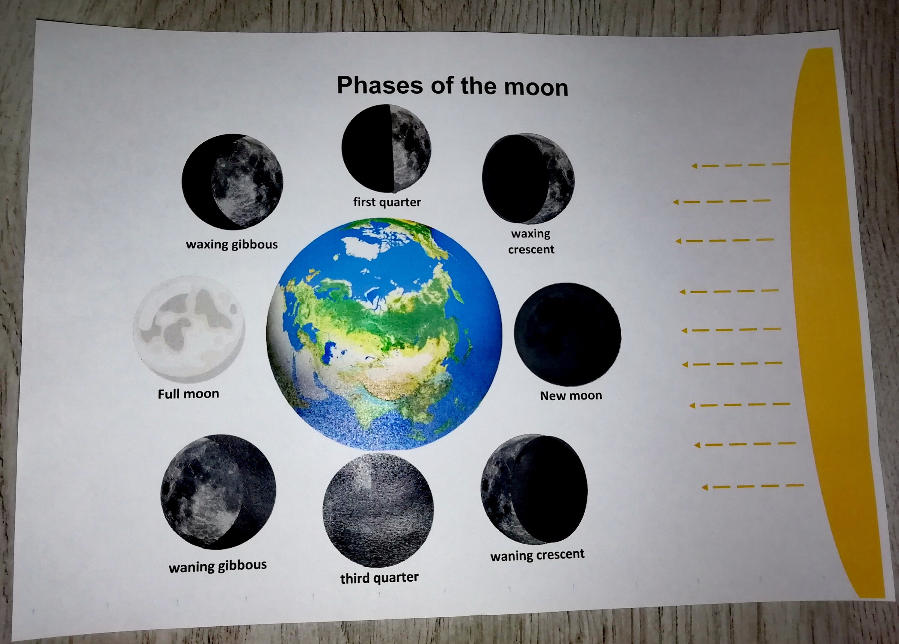 Moon Phases Worksheet Pdf