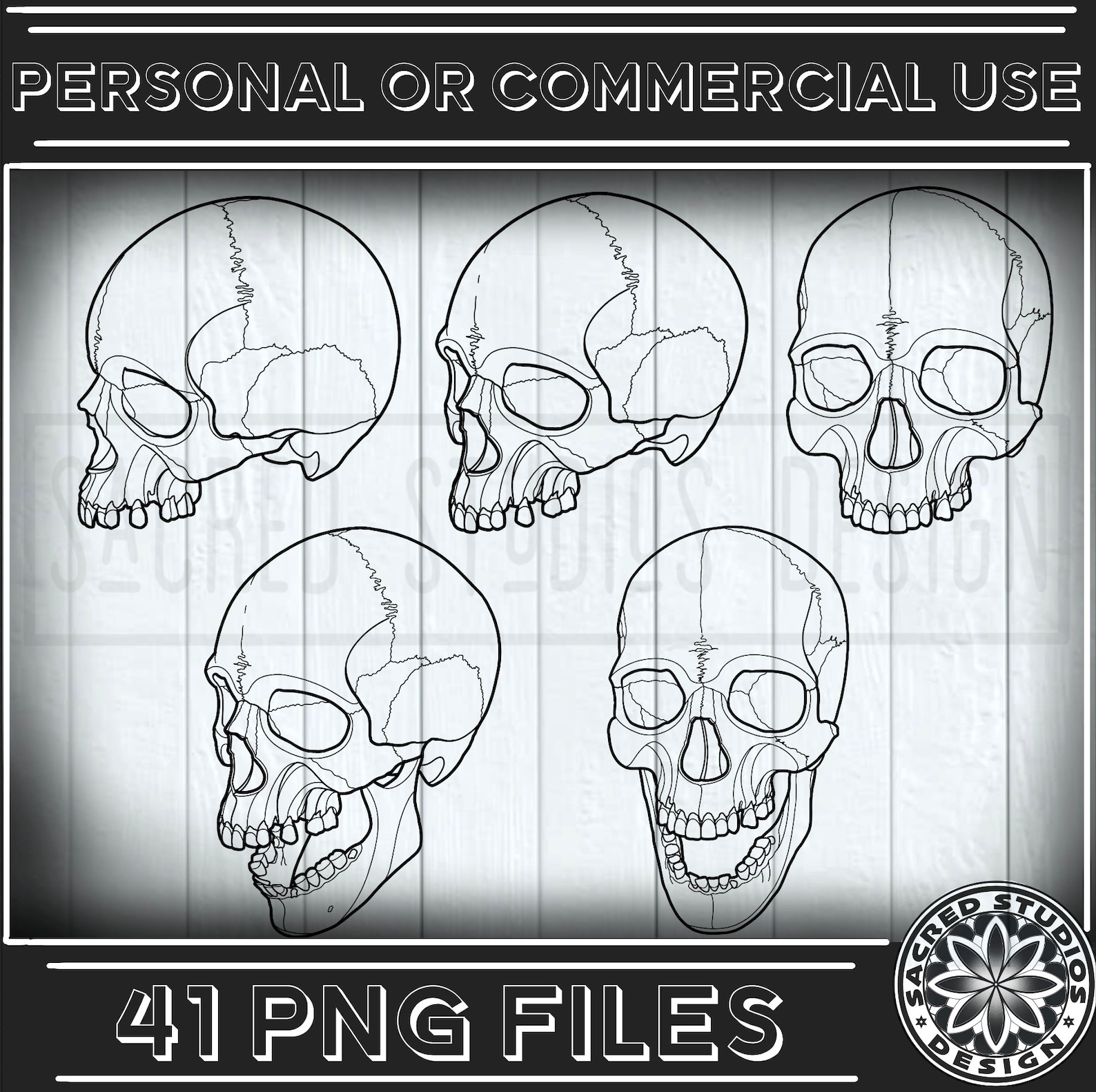 41 Human Skulls PNG File Download High Resolution - Etsy