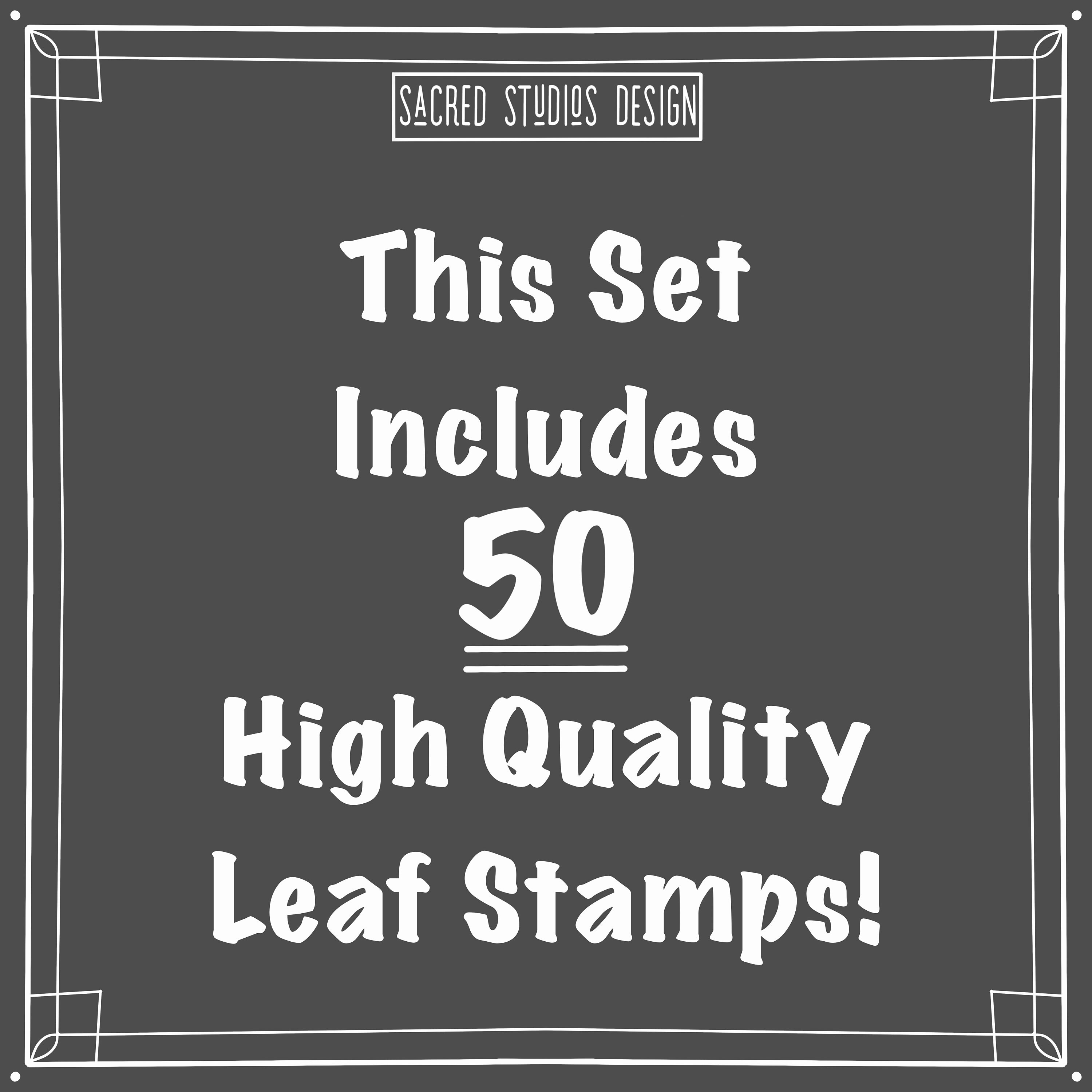 50 Leaf Design Brush Stamps for Procreate - Etsy