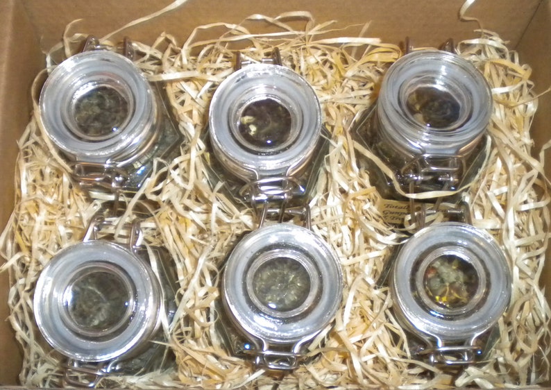 May include: Six glass jars with silver lids and clasps are filled with loose leaf tea. The jars are nestled in shredded paper inside a cardboard box.