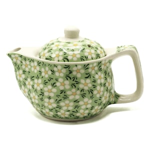 Gorgeous Small Green Daisy Pattern 350ml Teapot With Infuser - Just Teapot or Add 2 Cups