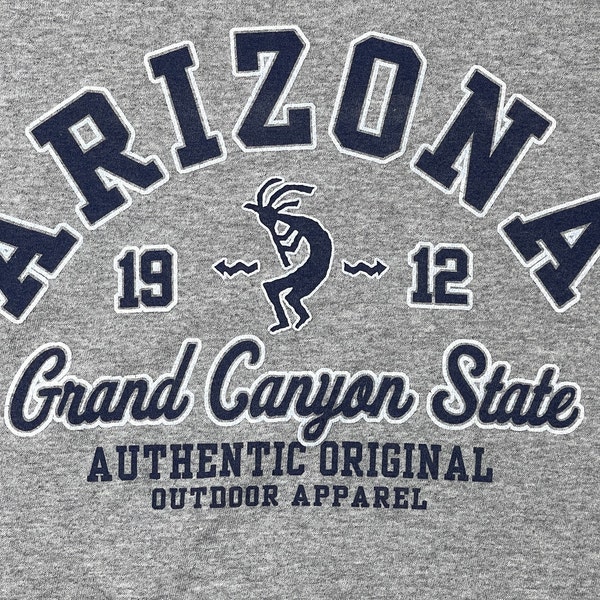 00's ARIZONA 1912 Grand Canyon State Vintage Heathered Gray Souvenir  T Shirt - RARE - Size Small