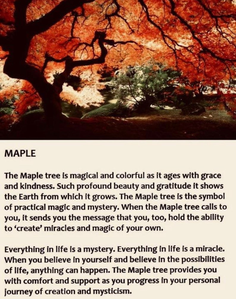 Magical Maple love three piece jewelry set