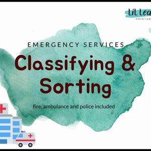 Printable, Educational Activity, Homeschool, Classifying and Sorting ...