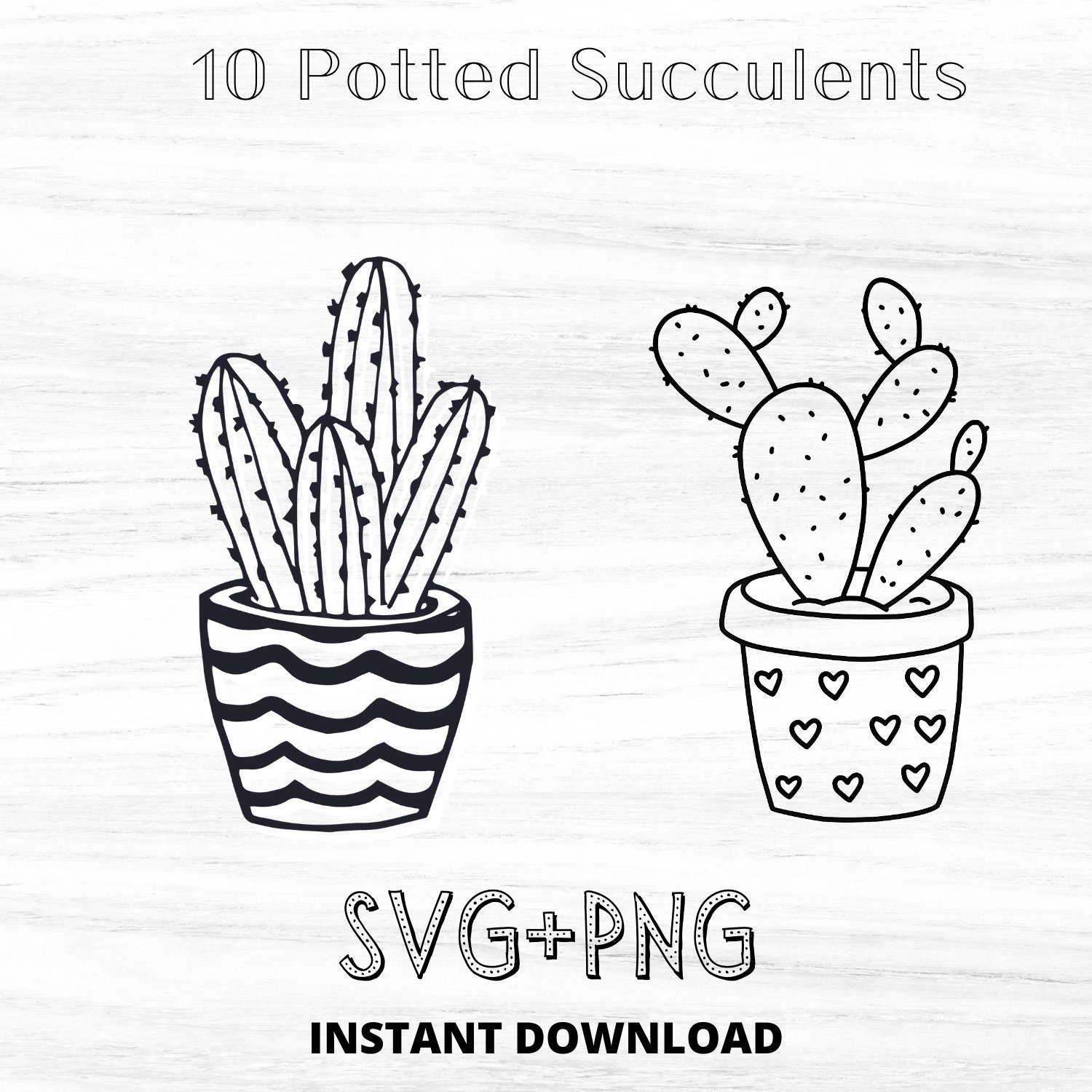 Cactus Pots Svg Bundle Succulents Svg Cactus Svg Potted Etsy