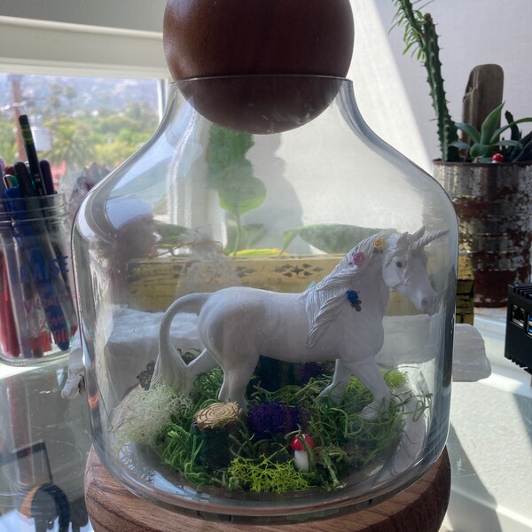 Unicorn Terrarium Etsy