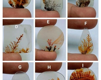 May include: Nine different cabochons of agate with dendritic patterns in shades of brown, orange, and white. The cabochons are various shapes and sizes, including round, oval, square, and teardrop.