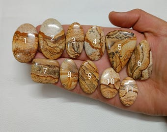 Natuurlijke foto jaspis cabochon, gepolijste edelsteen platte achterkant