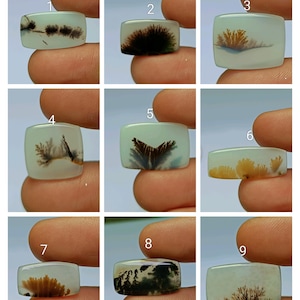AAA+++Top Natural Shazar Dendrite Gemstone Flat cabochon UNIQUE~ Shazar Dendrite Agate Cabochon. Scenic Dendritic Gemstone sku(63.QBW)