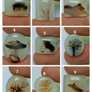May include: Nine agate cabochons with dendritic patterns in shades of brown, white, and grey. The cabochons are displayed on a hand, with numbers 1 through 9 labelled on each stone.