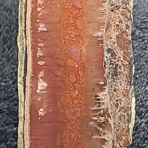 May include: A cross-section of a polished stone, showcasing layers of red, orange, and tan hues. The stone has a rough, textured edge on one side and a smooth, polished surface on the other. The stone is held by a gloved hand.