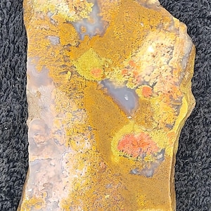 May include: A polished, irregularly shaped stone with a natural, earthy appearance. The surface displays a complex pattern of warm colors, including shades of brown, yellow, and orange, with hints of red and gray. The stone's texture appears rough and organic.
