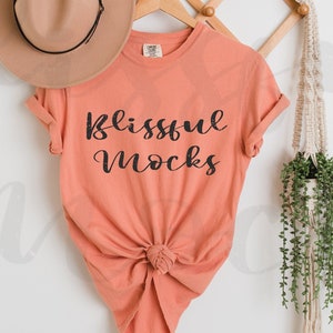 Comfort Colors 1717 Mockup, 1717 Terracotta Mockup, Comfort Colors Terracotta Mockup, Shirt Mockup, Hanging Boho Comfort Color Mockup