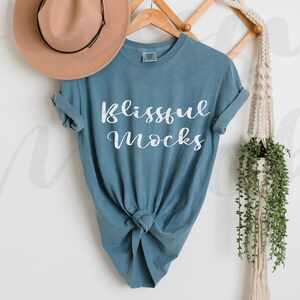 Comfort Colors 1717 Mockup, 1717 Mockup, 1717 Ice Blue, Comfort Colors Hanging T Shirt Mockup, Comfort Colors Shirt Mockup