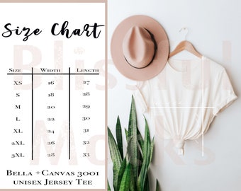 Bella Canvas 3001 Size Chart | Bella Canvas Size Chart | 3001 Size Chart /Unisex T Shirt Size Guide | Flat Lay Size Chart for Bella Canvas
