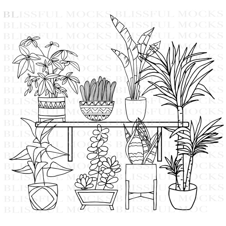 May include: Black and white line drawing of seven potted plants on a shelf. The plants are various types of houseplants, including a snake plant, a succulent, and a fern. The shelf is made of wood and has a simple design.
