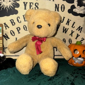 Haunted Teddy Bear | Casey | Positive Energy Haunted Doll | Spirit Doll | Active Haunted Doll
