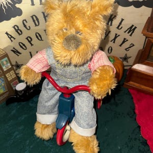 Haunted Teddy Bear | Timmy | Positive Energy Haunted Doll | Spirit Doll | Active Haunted Doll