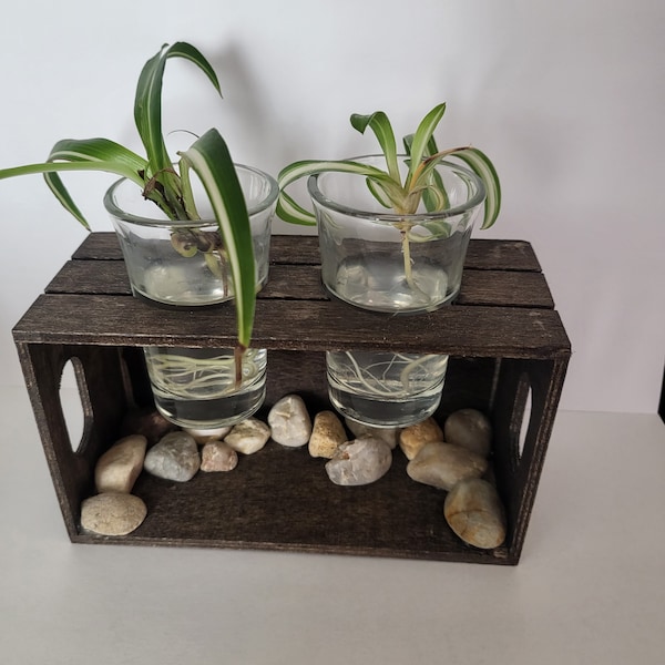 Wooden Hydroponic desk planter