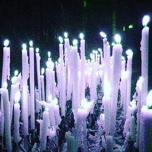 May include: A collection of white candles of varying heights, with melted wax cascading down their sides. The candles are lit, emitting a soft, ethereal glow against a dark background. The scene evokes a sense of mystery and ambiance.