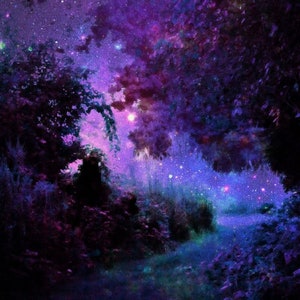 May include: An ethereal digital art piece depicting a path through a forest under a starry night sky. The scene is dominated by shades of purple, blue, and green, with a soft, dreamlike quality. The artwork evokes a sense of mystery and wonder.