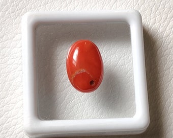 100% Natural Red Coral Oval Shape Cabochon-Beautiful Italian Coral-Flat Back Smooth Polished Coral Cabochon Loose Coral Jeweler Making-T1258