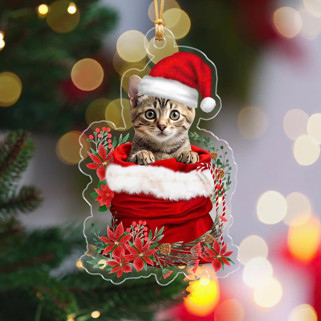 Personalized Pet Christmas Ornament Funny Pets Ornament Pet Owner Gift