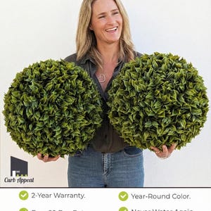 16" SET OF 2 Large Perennial Topiary Spheres- Winter Urn Filler Christmas Urn Filler, Christmas Topiary Outdoor entryway Winter Pot Filler