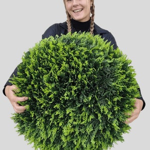 23&quot; XL Cedar (Cypress) Topiary Ball