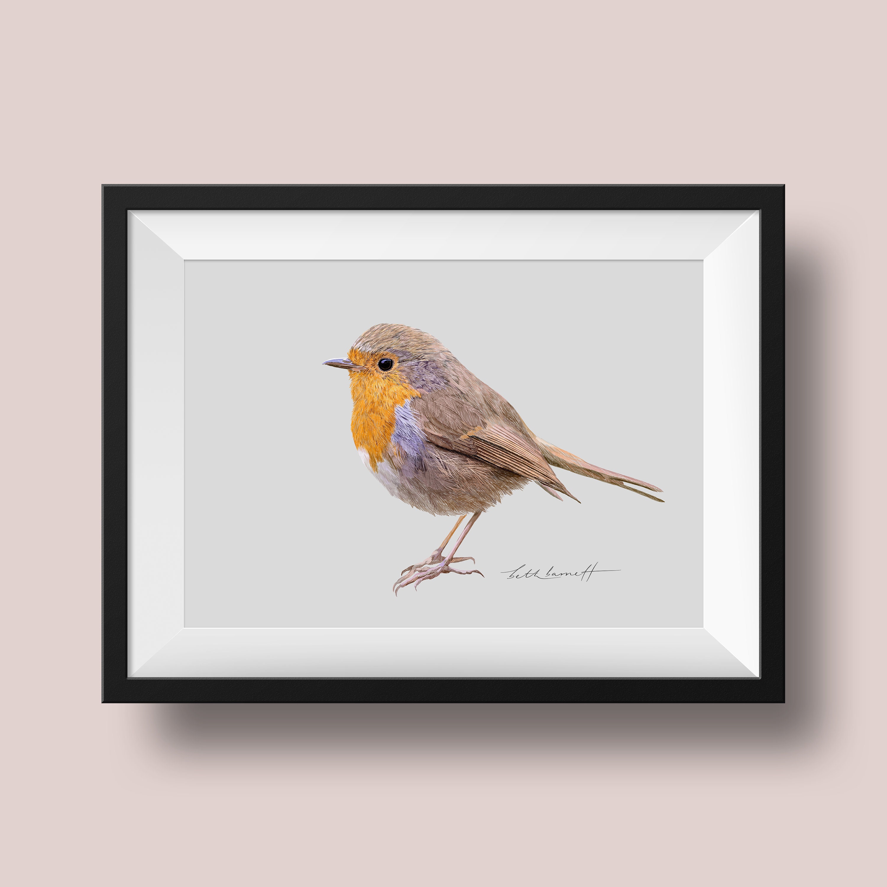 Robin print Etsy
