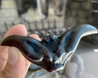 Freshly Harvested Bat Nuts | Devil Pod | Water Caltrops | Rare Exotic Seed Pod | Natural Curiosity | Terrarium Botanical | Trapa bicornis