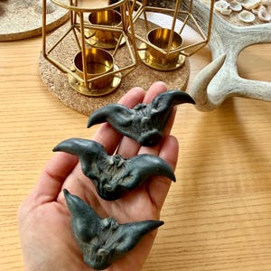 May include: Three dark gray water caltrops, each with a unique, spiky shape, are held in a hand. The background includes gold candle holders and a deer antler, suggesting a natural or rustic theme.