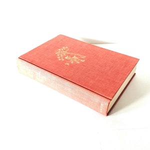 Regalo para amantes de los libros Cuentos de hadas de las islas británicas Libro nerd ilustrado vintage coleccionable bibliotecario ratón de biblioteca Regalo para lectores Libro para niños
