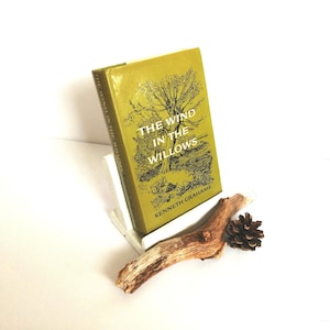 The wind in the willows Childrens book gift Bookworm Librarian book lover Readers Birthday fairy tale book Kenneth Grahame animals story