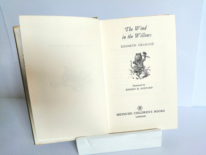 The Wind in the Willows Childrens Book Gift Bookworm Librarian Book ...