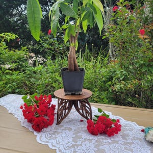 Leaf Plant Stand / Small Riser / Wooden Stand / Indoor Plants / Gift For Her / Crystal Display
